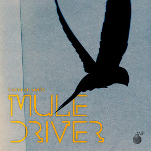 Album Common Swifts from Mule Driver