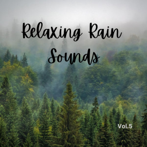 Relaxing Rain Sounds (Vol.5)