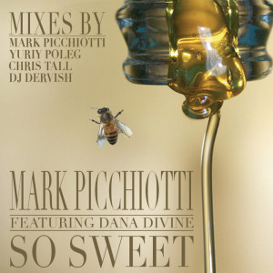 Listen to So Sweet (Chris T Radio Edit) song with lyrics from Mark Picchiotti