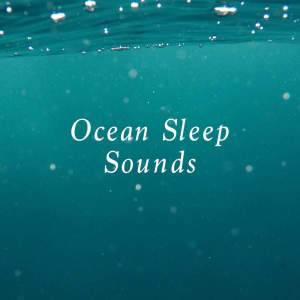 Dengarkan ASMR Ocean Beach lagu dari Ocean Sounds dengan lirik