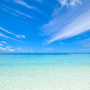 收听White Noise For Baby Sleep的Live Your Life歌词歌曲