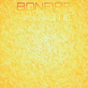 Various Artists的專輯Bonfire Patriotic
