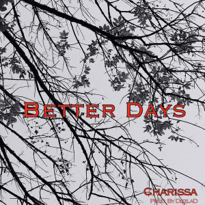 Listen to Better Days (其他) song with lyrics from Charissa