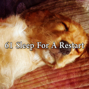 Dengarkan Pillows Song lagu dari Ocean Waves for Sleep dengan lirik