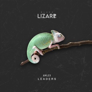 Album Leaders from 