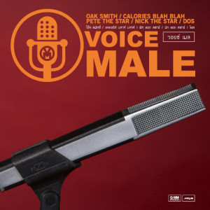 อัลบัม VOICE MALE ศิลปิน โดส