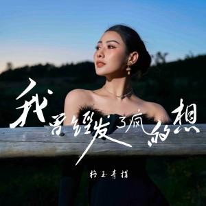 Album 我曾经发了疯的想 from 格玉青措