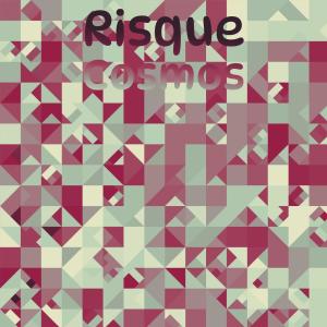 Album Risque Cosmos from Various