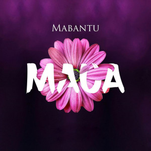 Album Maua from Mabantu