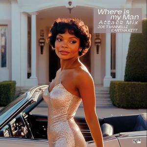 收听Joe T Vannelli的Where Is My Man (Attack Mix Edit)歌词歌曲