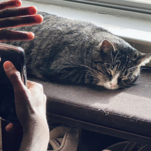 ดาวน์โหลดและฟังเพลง unknown feelings พร้อมเนื้อเพลงจาก Novulent