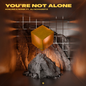 Kosling的專輯You're Not Alone