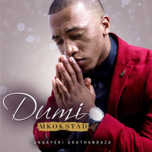 Best Dumi Mkokstad Songs MP3 Download | 2021 Dumi Mkokstad New Albums List