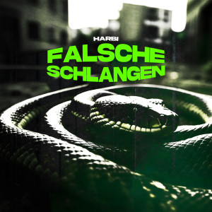 Listen to Falsche Schlangen (Explicit) song with lyrics from Harbi