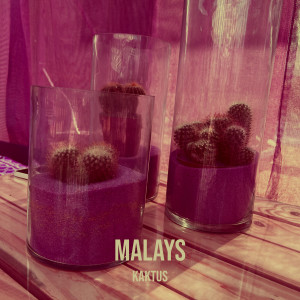 Album Malays from Kaktus
