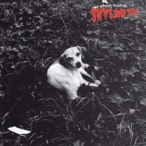 ดาวน์โหลดและฟังเพลง Dá um beijo na boca dele (Explicit) พร้อมเนื้อเพลงจาก Rogério Skylab