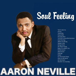 Aaron Neville的專輯Soul Feeling