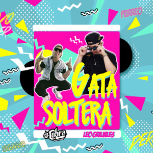Listen to Gata Soltera song with lyrics from DJ Cobra Monterrey