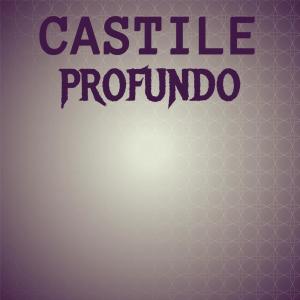 Album Castile Profundo from Various Artists