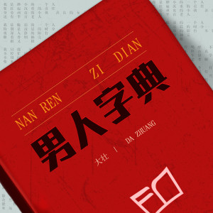 收聽大壯的男人字典 (DJ沈念版)歌詞歌曲
