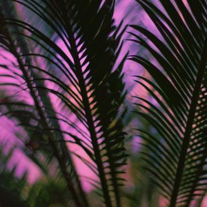 收听Asian Zen Meditation的A Time and a Place In Your Mind歌词歌曲