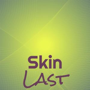 อัลบัม Skin Last ศิลปิน Various