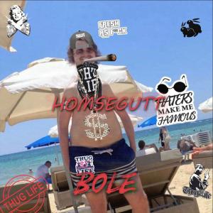 HOMSEGUTT (feat. Mathias Trengereid) (Explicit) dari Bole