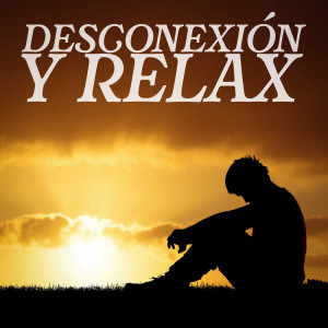 อัลบัม Desconexión Y Relax ศิลปิน Various