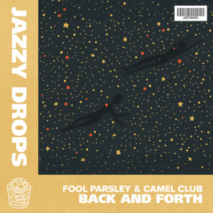 收聽Fool Parsley的Back and Forth歌詞歌曲