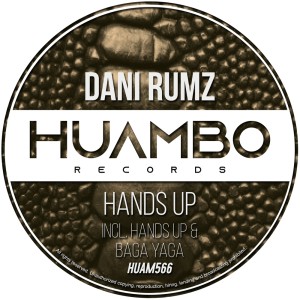 Album Hands Up (Fun Mix) from Dani Rumz