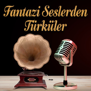 Listen to Aldı Beni Aldı Ben İki Kaşın Arası song with lyrics from İrfan Doğrusöz