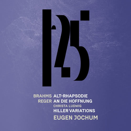 Variations and Fugue on a Theme by Johann Adam Hiller, Op. 100: Var. X. Allegro appassionato (Live)