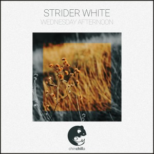 Dengarkan lagu Wednesday Afternoon nyanyian Strider White dengan lirik