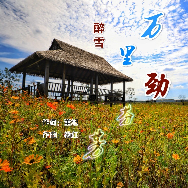 万里劲芬芳 (伴奏)