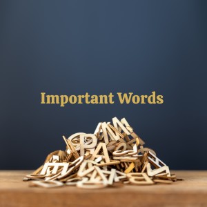 Album Important Words from Various