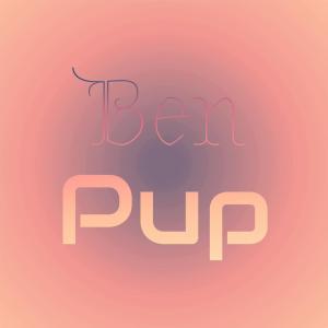 Various的专辑Ben Pup