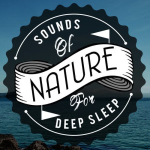 收聽Sounds of Nature for Deep Sleep and Relaxation的Birds at the Resevoir歌詞歌曲