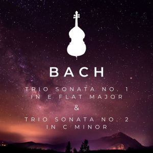 The St Petra Russian Symphony Orchestra的专辑Bach Trio Sonata No. 1 In E Flat Major & Trio Sonata No. 2 In C Minor