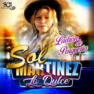 收聽Sol Martinez的Ladrón de porquería歌詞歌曲