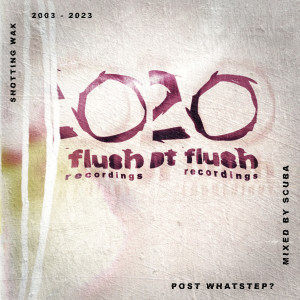 Album Post Whatstep? - Hotflush 20 (DJ Mix) from Scuba