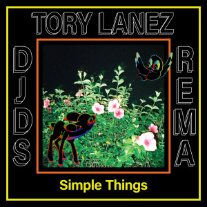 อัลบัม Simple Things ศิลปิน DJDS