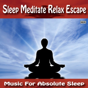 Listen to Deep Sleep Music 2 song with lyrics from Music For Absolute Sleep