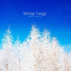 Mint Smile的專輯Winter Twigs