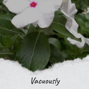 Various的专辑Vacuously