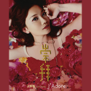 收听梁静茹的生命中不可承受的輕歌词歌曲