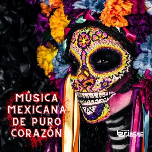 อัลบัม Música Mexicana de Puro Corazón ศิลปิน Various Artists