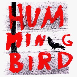 อัลบัม Hummingbird ศิลปิน j ember