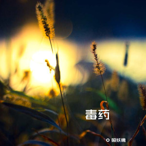 Listen to 毒药 song with lyrics from 赵方婧