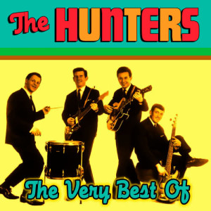 ดาวน์โหลดและฟังเพลง Theme From A Summer Place พร้อมเนื้อเพลงจาก The Hunters