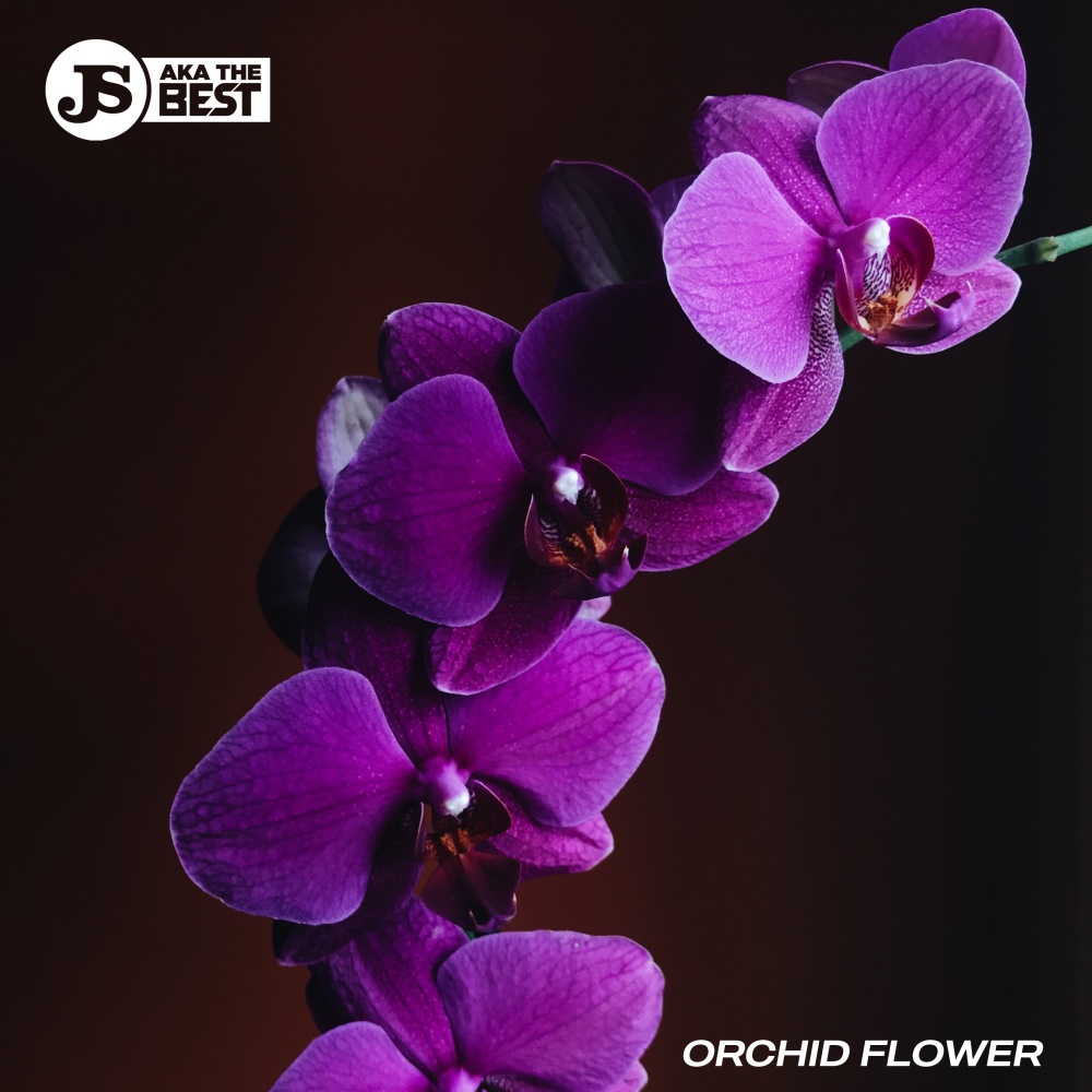 Orchid Flower (Explicit)